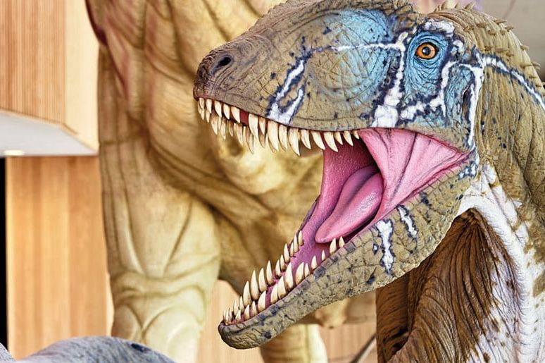 Reproducción de un dinosaurio con la boca abierta en el Museo de Paleontología