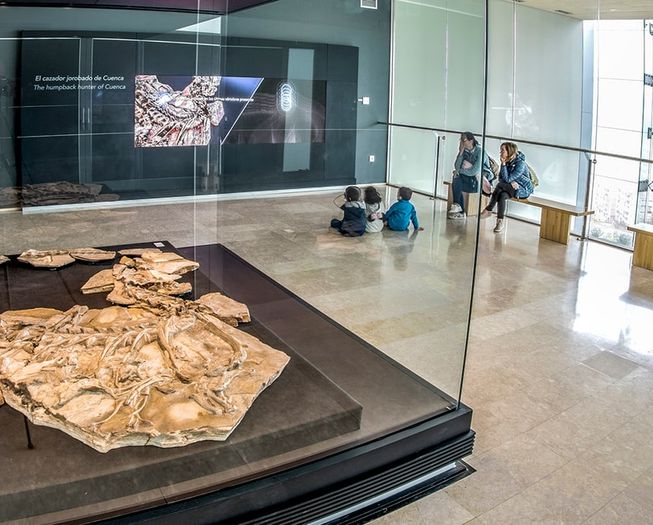 Fósil de dinosaurio expuesto en una sala del Museo de Paleontología